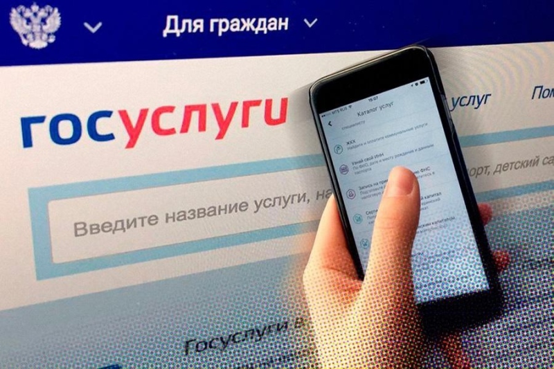 Онлайн-заявка на оформление мер социальной поддержки через портал Госуслуг